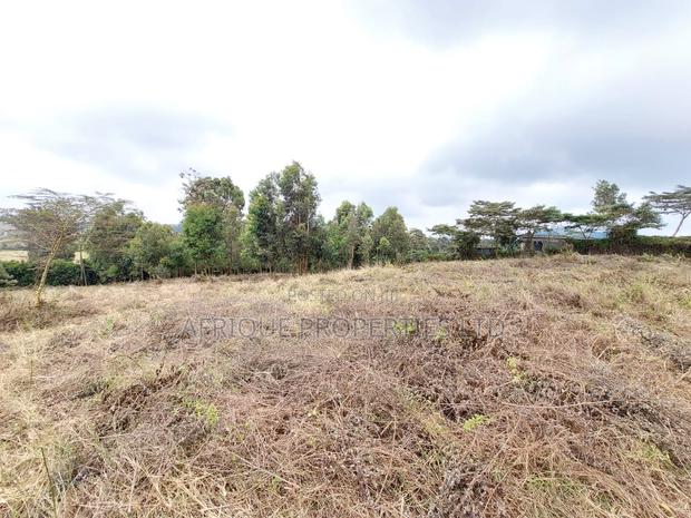 Ngong Kibiko Resident Plot 50*100 for Sale - thumbnail 3