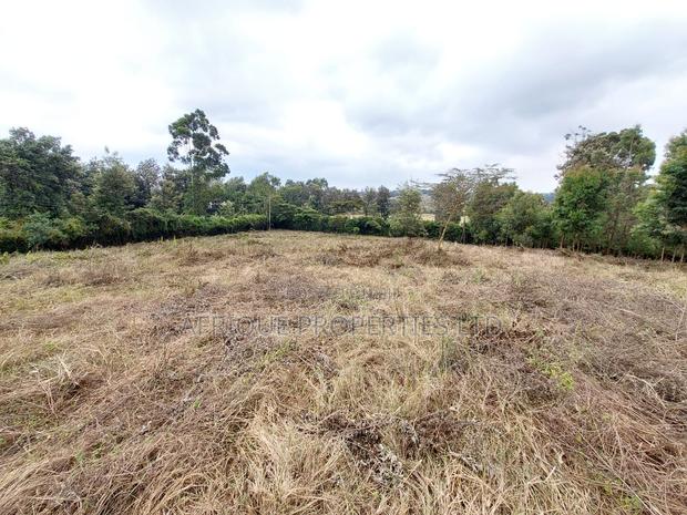 Ngong Kibiko Resident Plot 50*100 for Sale - thumbnail 4