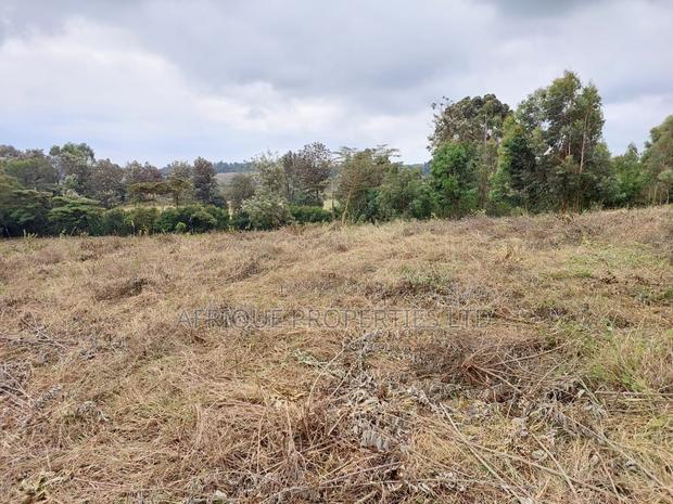 Ngong Kibiko Resident Plot 50*100 for Sale - thumbnail 9