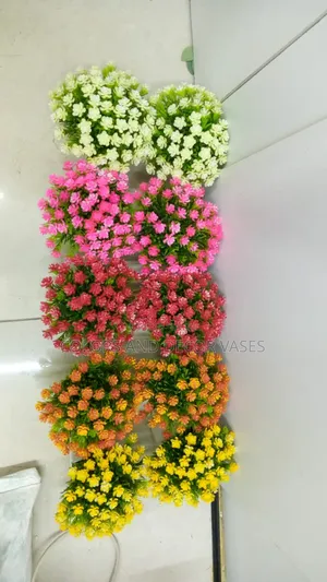 Coloured Bonsai Flowers Available