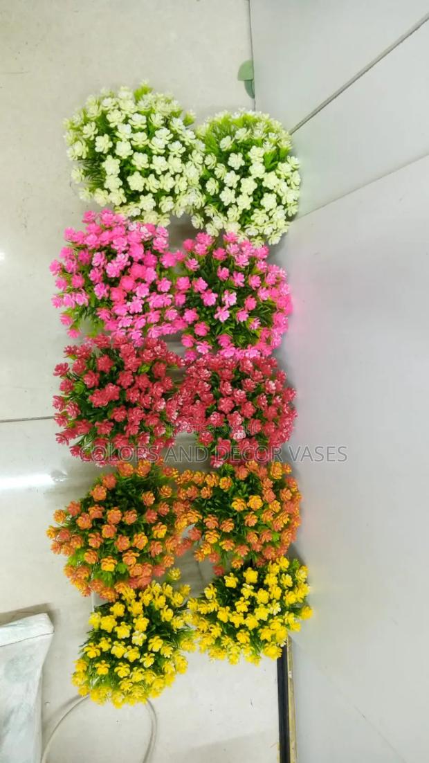 Coloured Bonsai Flowers Available