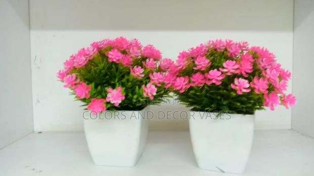 Pink Flowered Bonsai Flowers in Stock