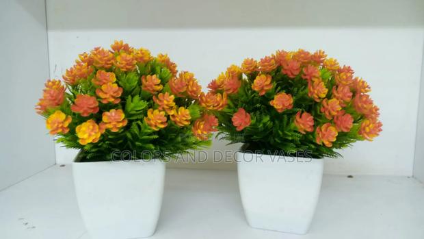 Orange Flowered Bonsai Flowers