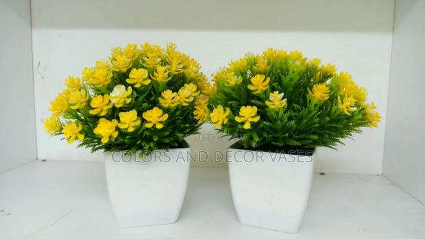 Yellow Flowered Bonsai Flowers