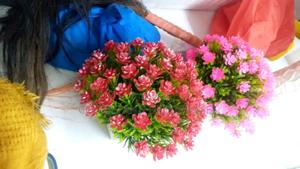 Table Top Bonsai Colourful Flowers - thumbnail 2