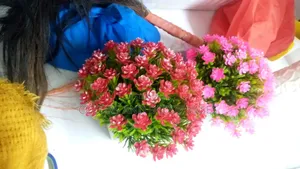 Table Top Bonsai Colourful Flowers