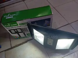 Solar Security Light