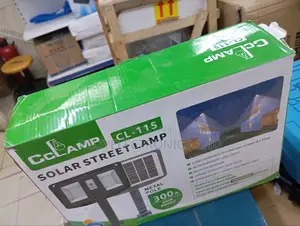 Solar Security Light