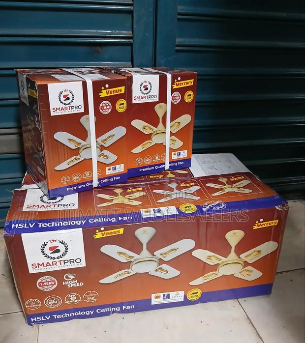 Ceiling Fan Smart Pro 24 Inches High Quality and Durable - main view