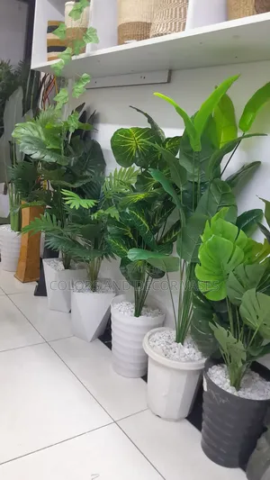 Plants and Hard Plastic Vases KSH .