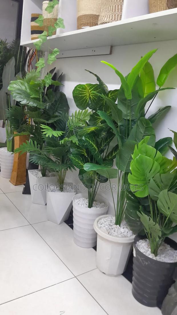 Plants and Hard Plastic Vases KSH . - main view