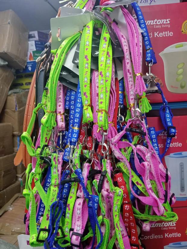 Durable Chiwawa Dog Leash - main view