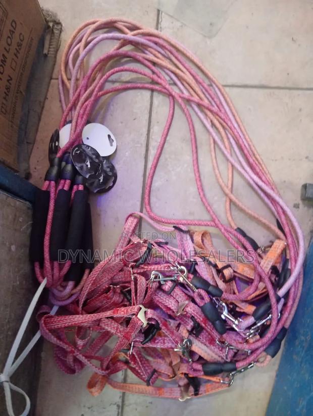 Generic Medium Dog Leash - main view