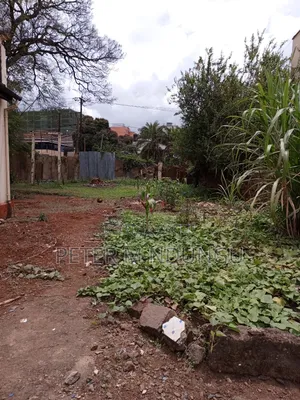 Prime Land 1/2 Acre Touching Ngara Road, Title