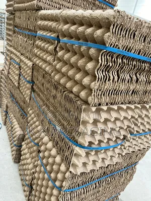 Carton /Manilla Egg Trays
