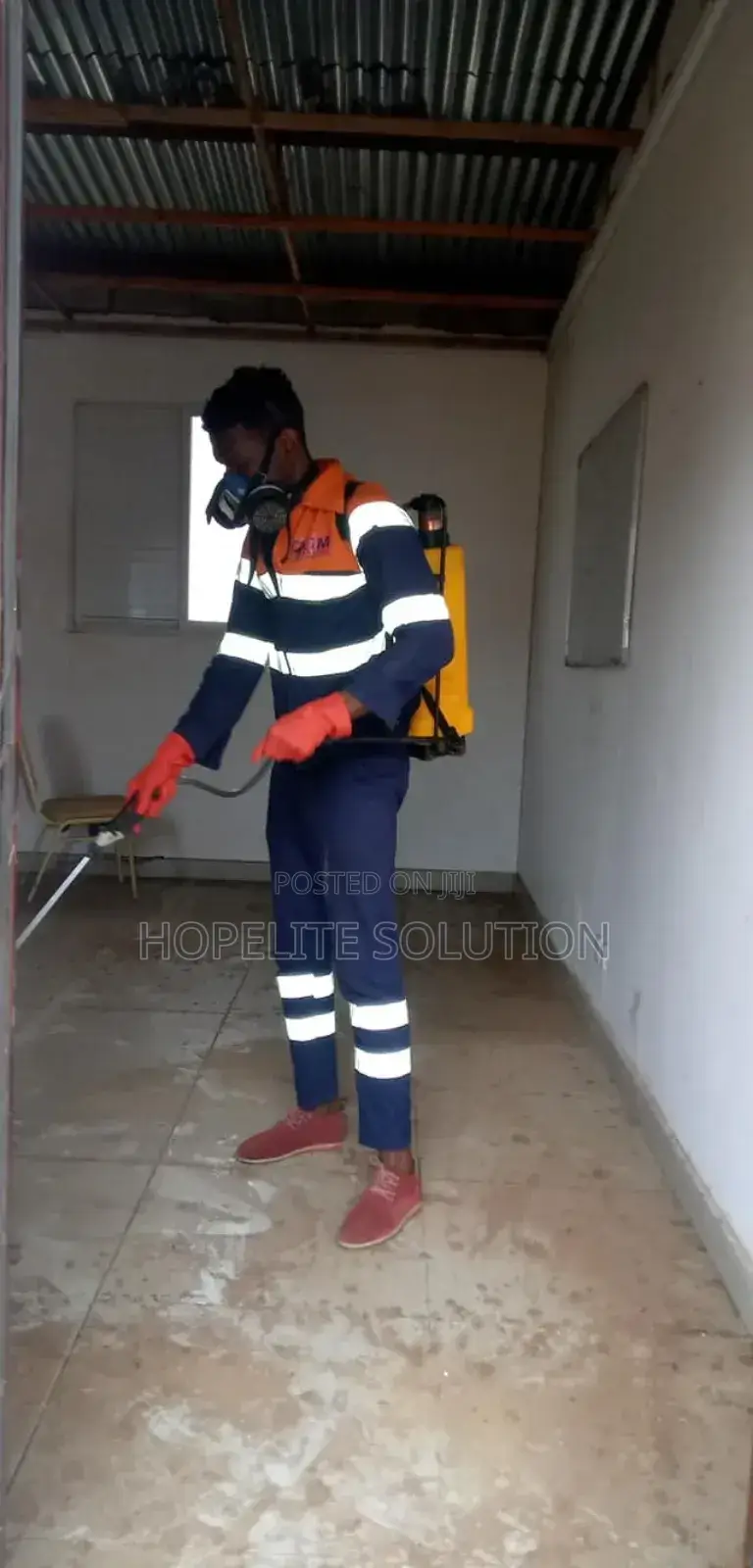 Cockroaches and Bedbugs Elimination Nearby