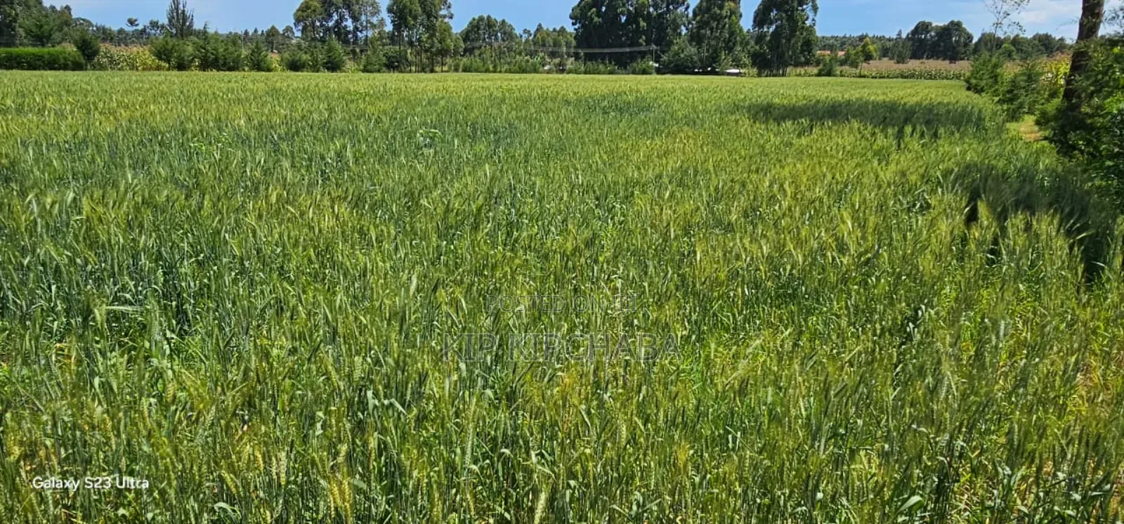 2.5 Acres Fully Arable for Sale in Kiplombe in Eldoret Kiili