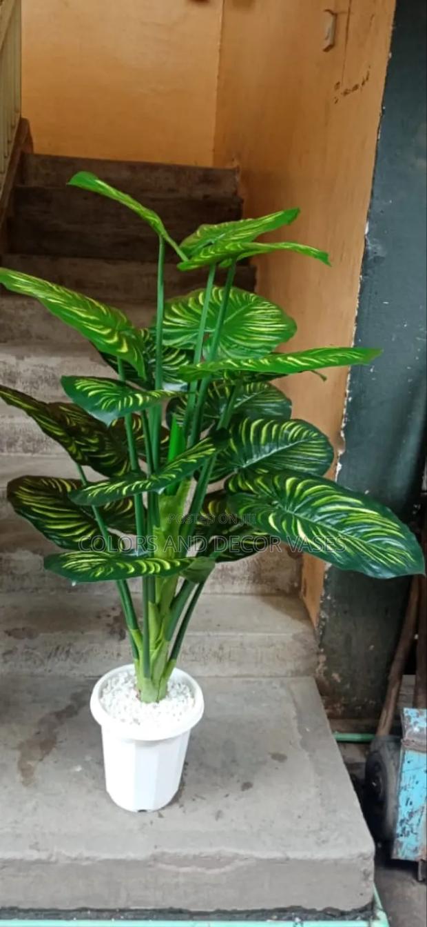 Big Stripped Plant Plus Vase and Decorative White Pebbles