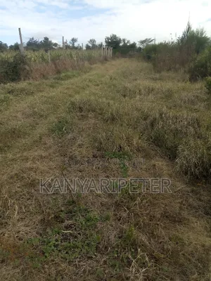 Prime Plots for Sale in Nyeri Mweiga Muthuini/ Kanyagia Area