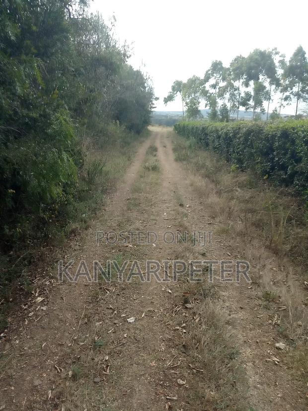 Prime Plots for Sale in Nyeri Mweiga Muthuini/ Kanyagia Area - thumbnail 5