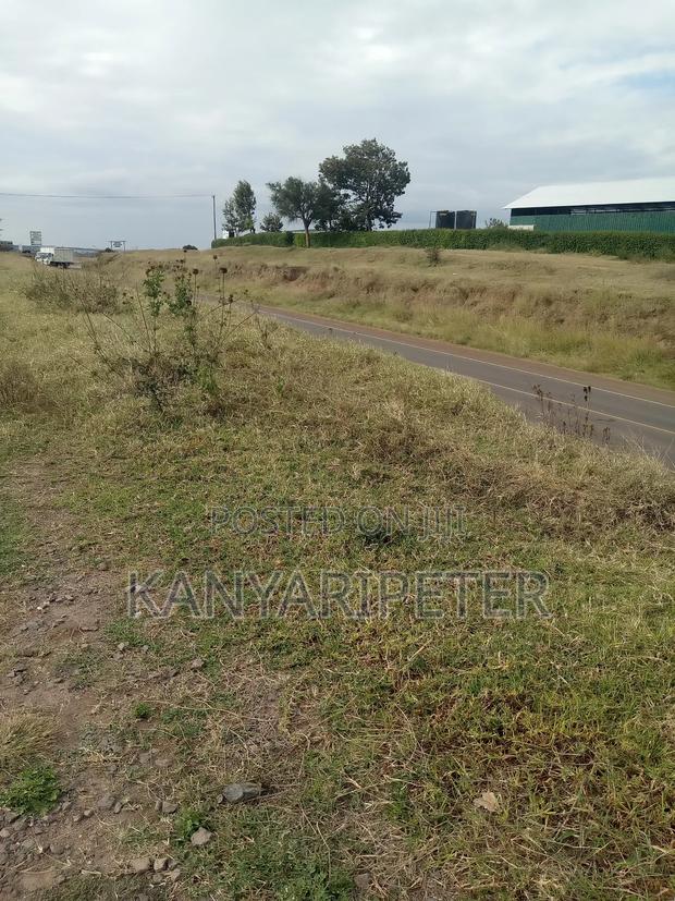 Prime Plots for Sale in Nyeri Mweiga Muthuini/ Kanyagia Area - thumbnail 6