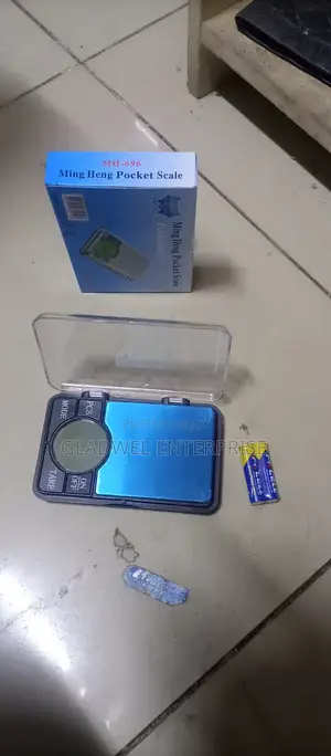 Portable Scale
