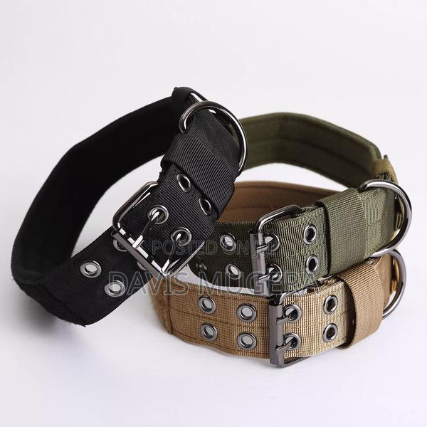 Urbadog Heavy Duty Adjustable Dog Collar, Padding Reflective - thumbnail 2