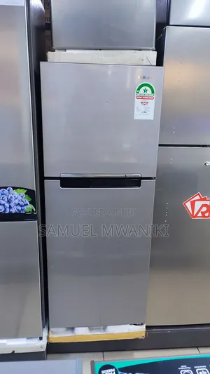 Samsung 210 Liter Double Door No Frost Refrigerator - Silver