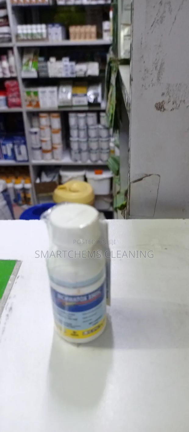 Termites Killer - thumbnail 4