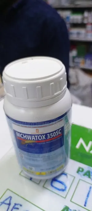 Termites Mchwatox