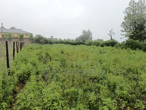 1/4 Upper Matasia Ngong