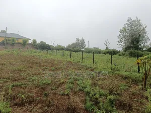 1/4 Upper Matasia Ngong
