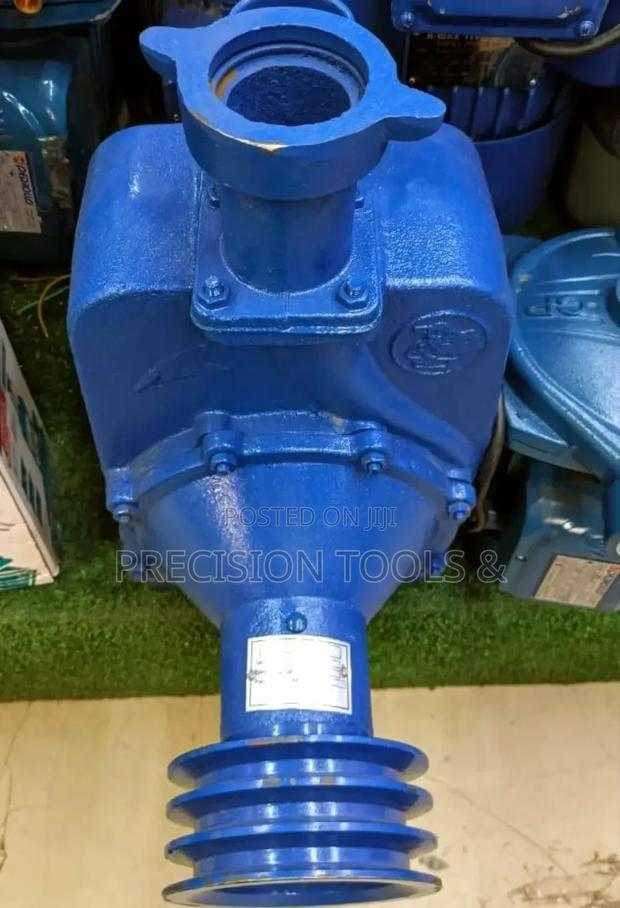 Milano 2" Inch Bare Water Pump