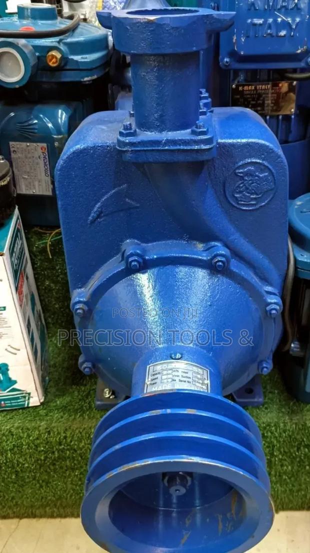 Bare Pump 2" Inch 55m Head
