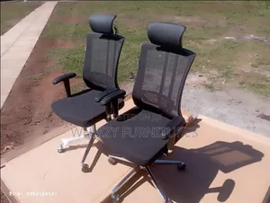 Office Chair/Orthopedic Office Chair