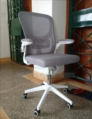 Office Chair/Mid-Back Office Chair