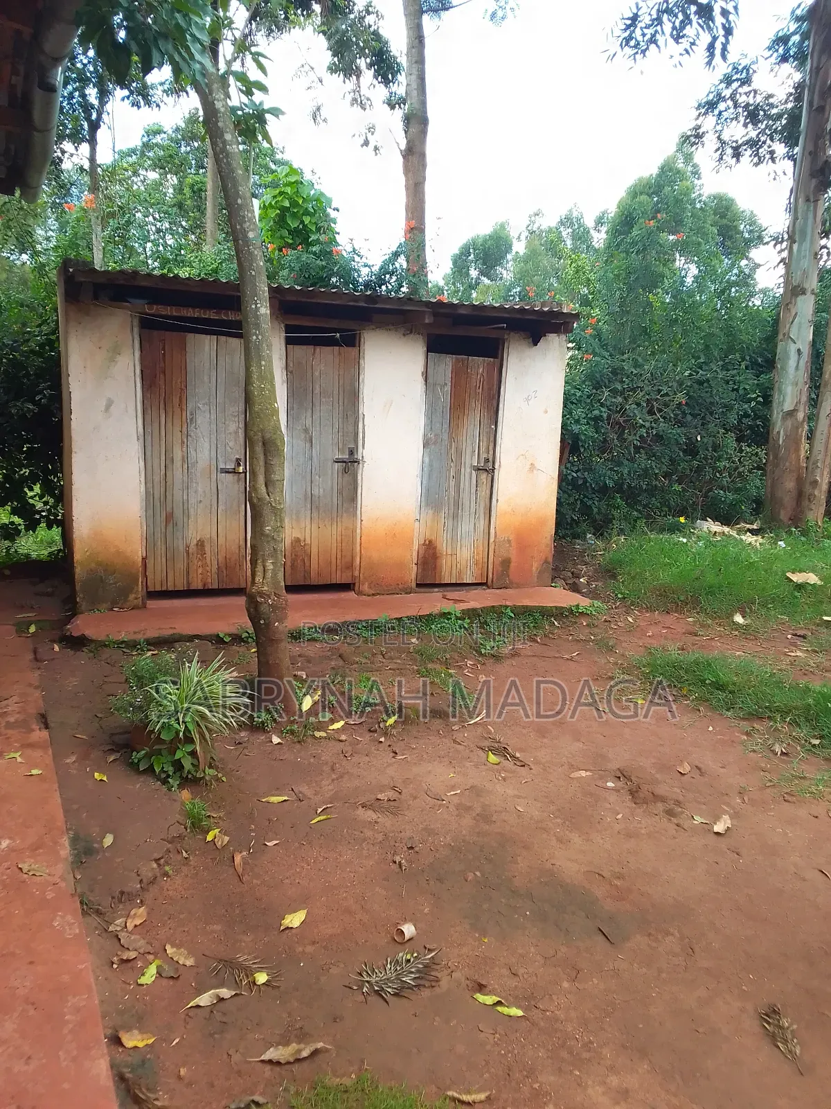50 by 100 Plot in Kitale Owner