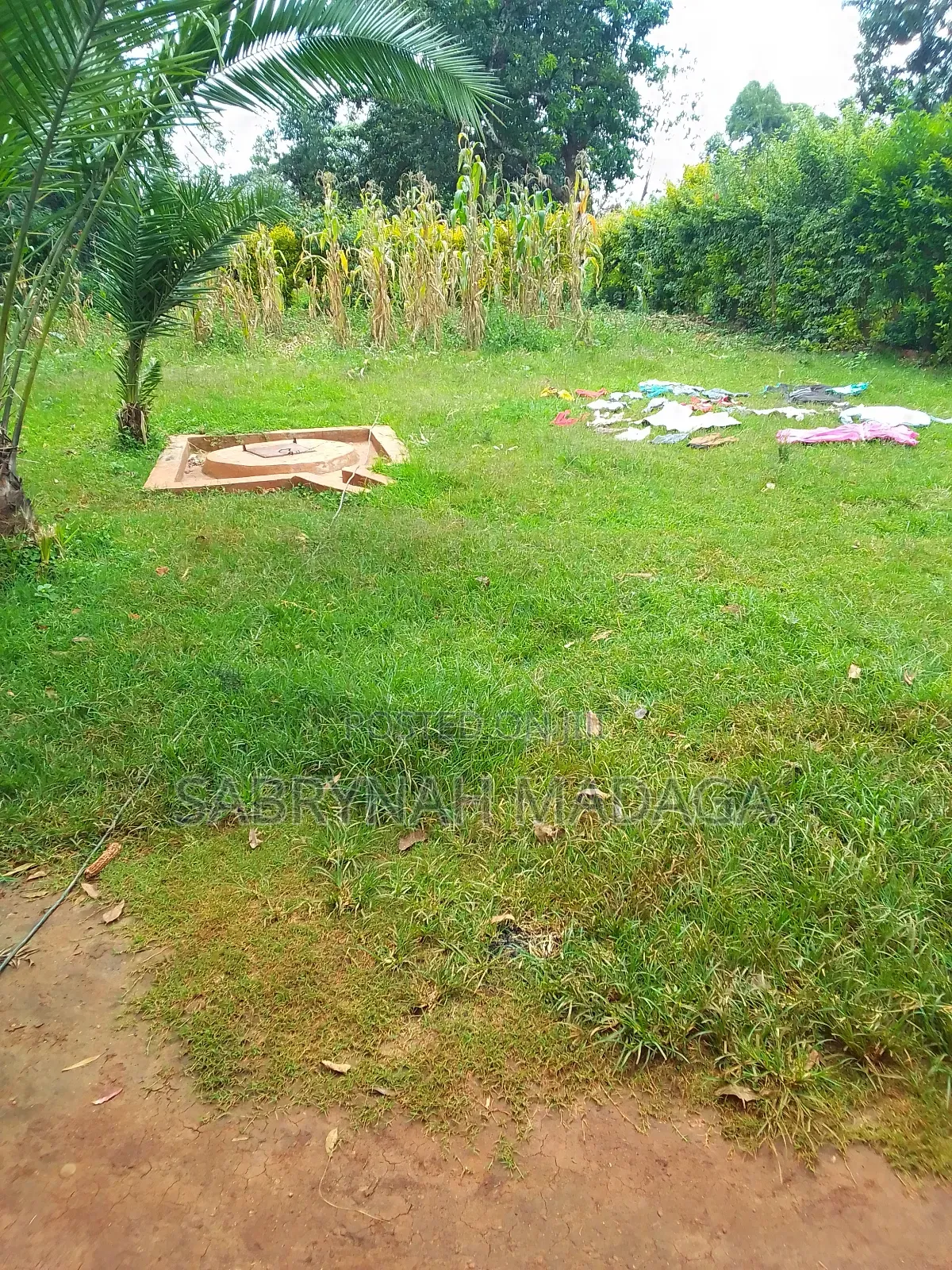 50 by 100 Plot in Kitale Owner