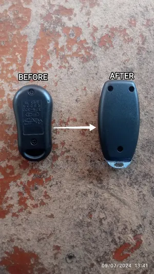 Car Remote Repair/Upgrade (Autowatch Repair)