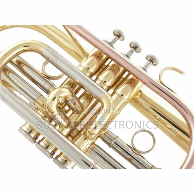 Bb-CornetAvailable - thumbnail 4