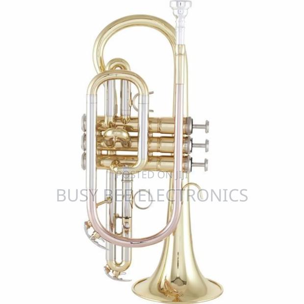 Bb-CornetAvailable - thumbnail 5