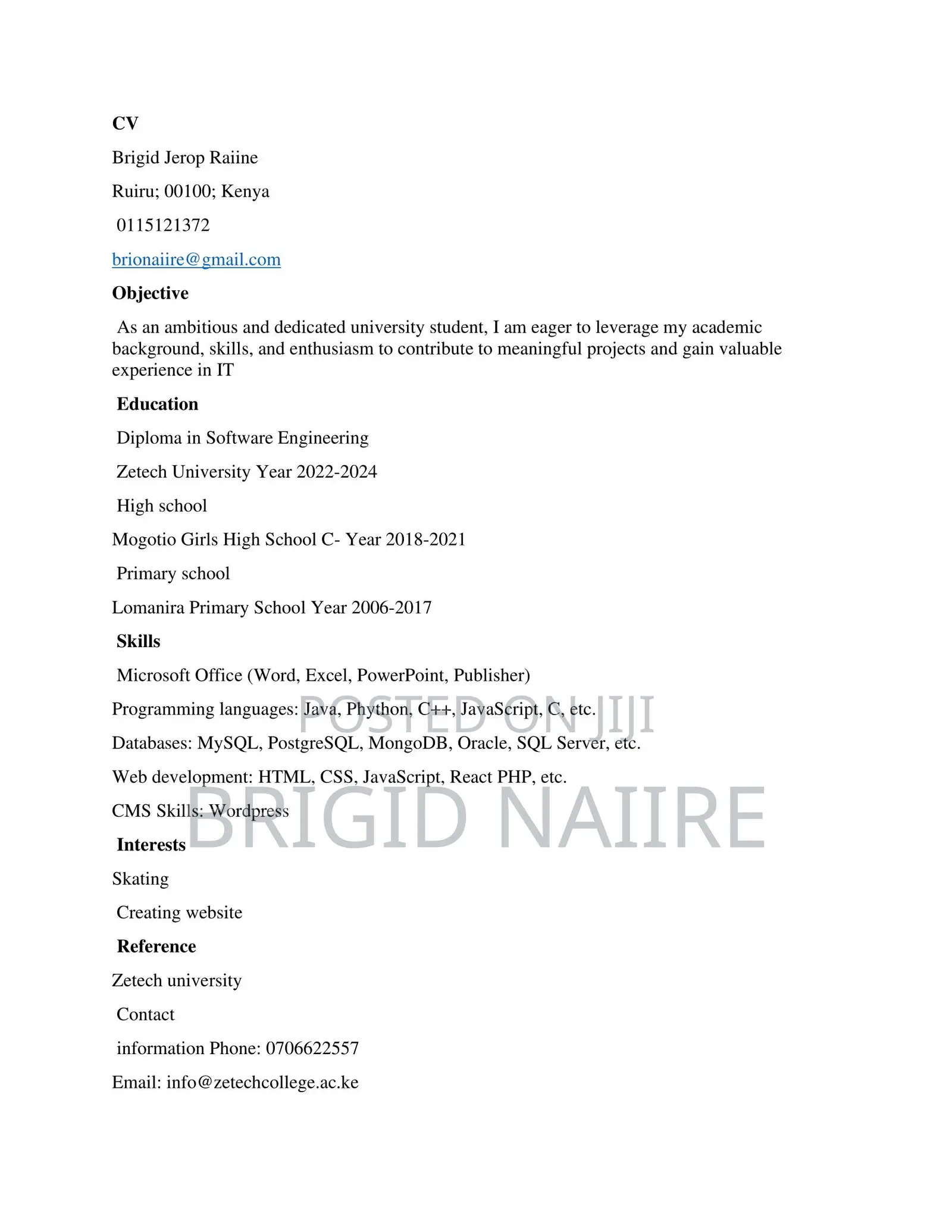 IT CV, Web Development Job