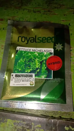 Lettuce Michelagio F1 Hybrid Seeds - 100 Seeds