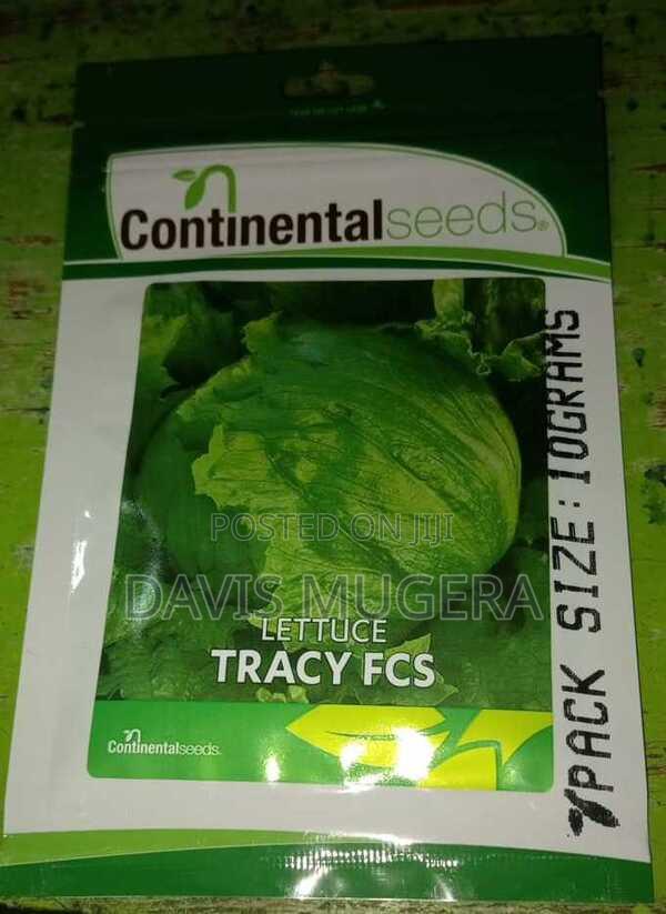 Tracy FCS Lettuce Seeds - 10 Grams