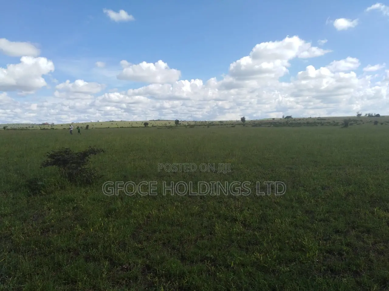 Sale 1/4 Acre