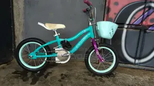 Ex USA Size 16 Bike for a Girl