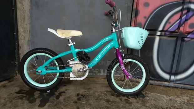 Ex USA Size 16 Bike for a Girl
