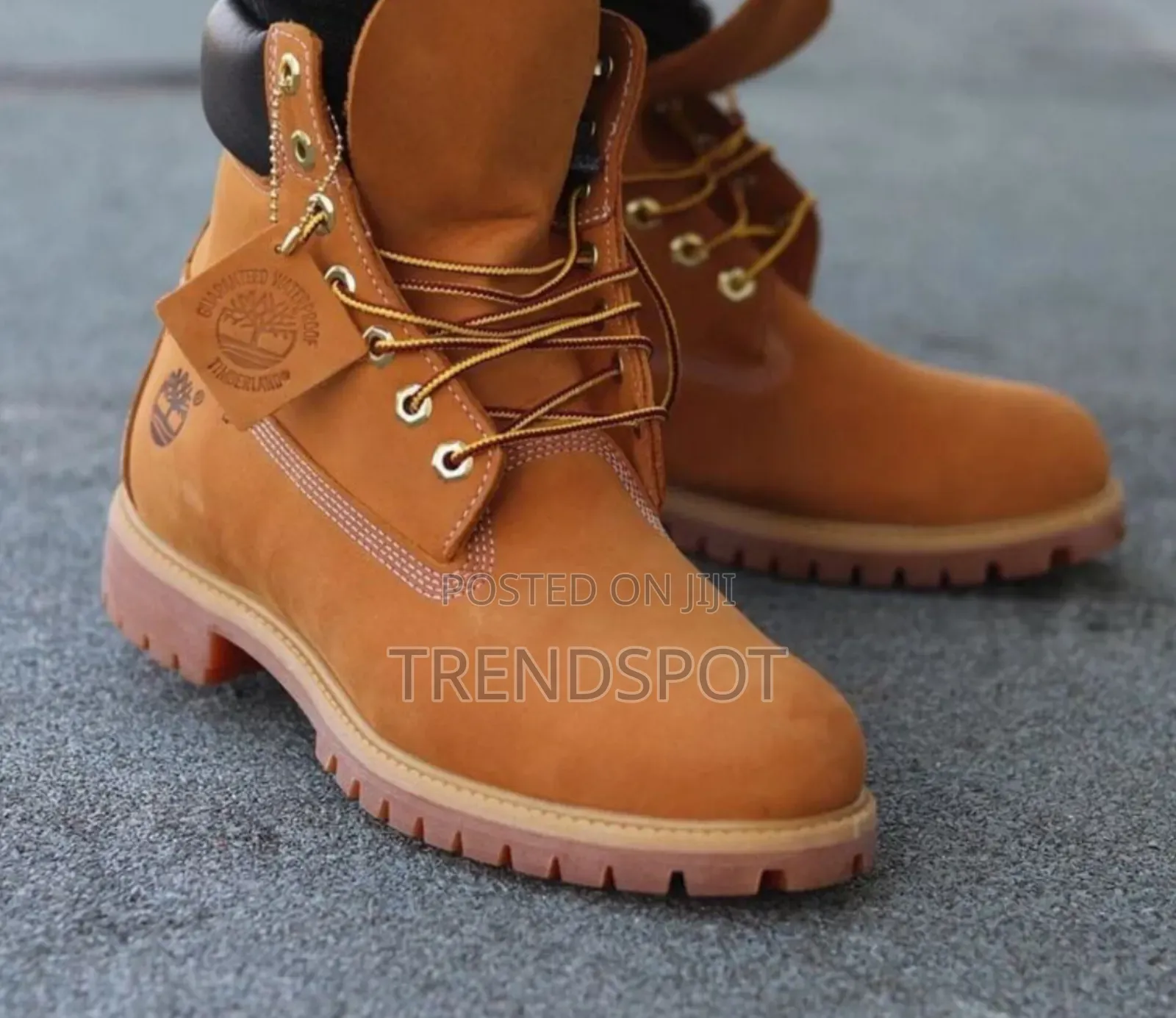 Men's Timberland All Colours