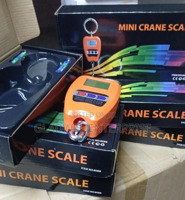 Crane Scale