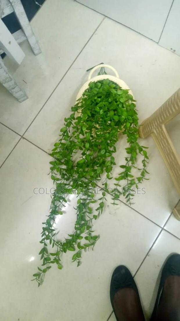 Vines With Plastic Vase KSH 2000 - main view